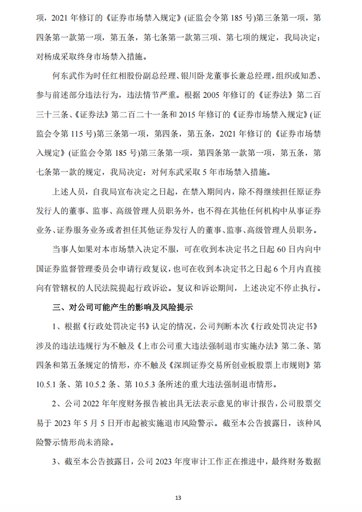 _ST红相：关于收到《行政处罚决定书》及《市场禁入决定书》的公告13.png